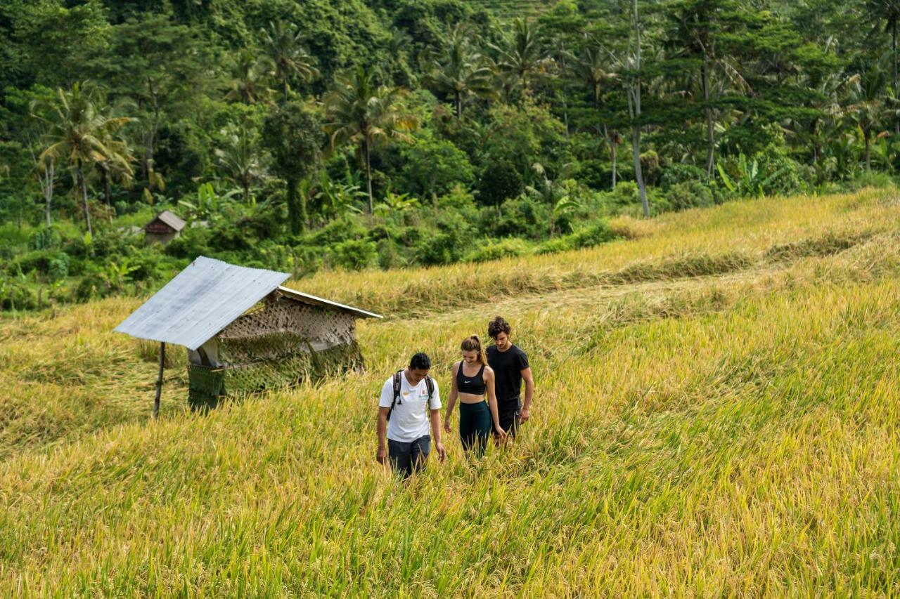 Wapa Di Ume Sidemen Otel Dış mekan fotoğraf A rice field in Bali